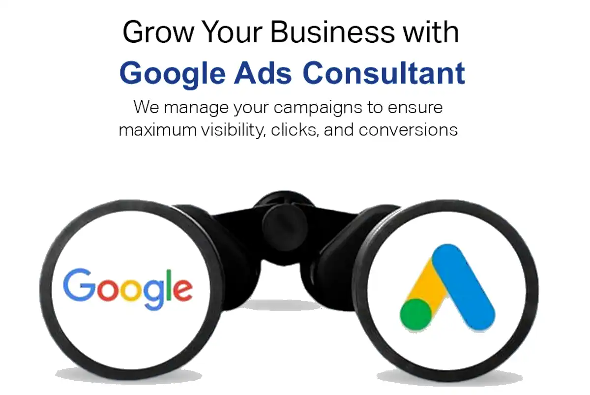 Google Ads consultant services - Zabi Niazi