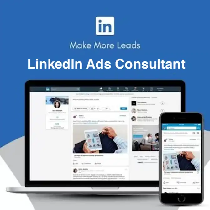 Generate more leads with LinkedIn Ads consultant services by Zabi Niazi