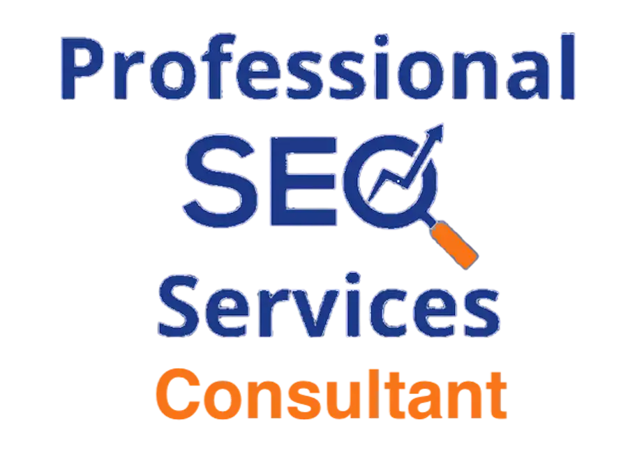 SEO Consultant 3 Professional SEO services consultant Zabi Niazi helping businesses improve rankings and organic growth