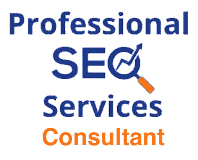 Professional SEO services consultant Zabi Niazi helping businesses improve rankings and organic growth