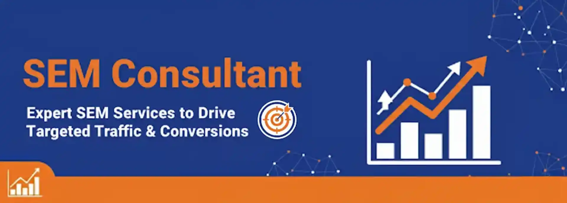 Search Engine Marketing (SEM) Consultant Services Search Engine Marketing SEM consulting services by Google and Bing Ads certified consultant Zabi Niazi