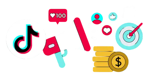 TikTok Ads Consultant 1 Tiktok Ads Consultant New Campaign Setup and Management